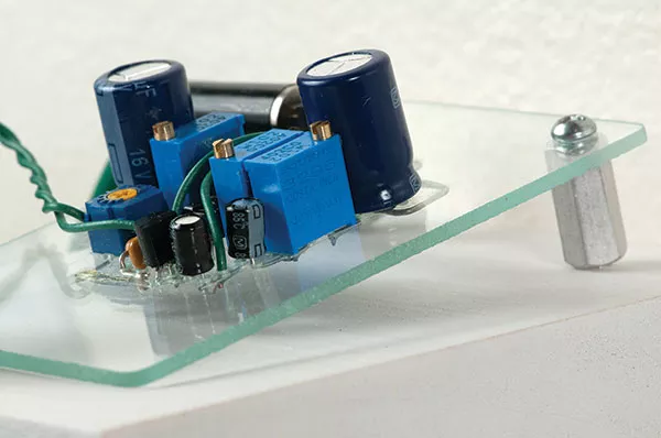 Chirp: Jeremy Boyle's "Untitled (Glass Birds)"