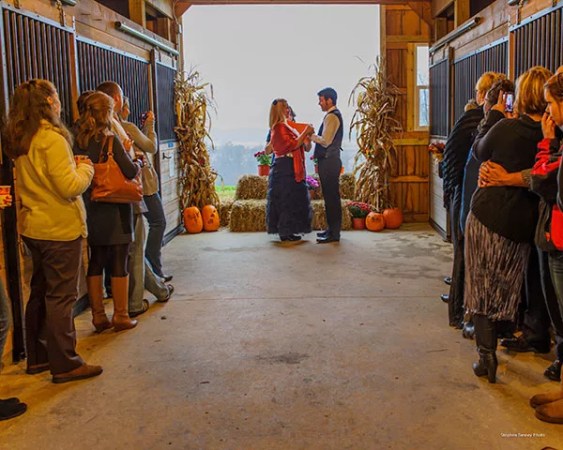 Gettin’ Hitched: More couples heading to the farm for a unique wedding experience
