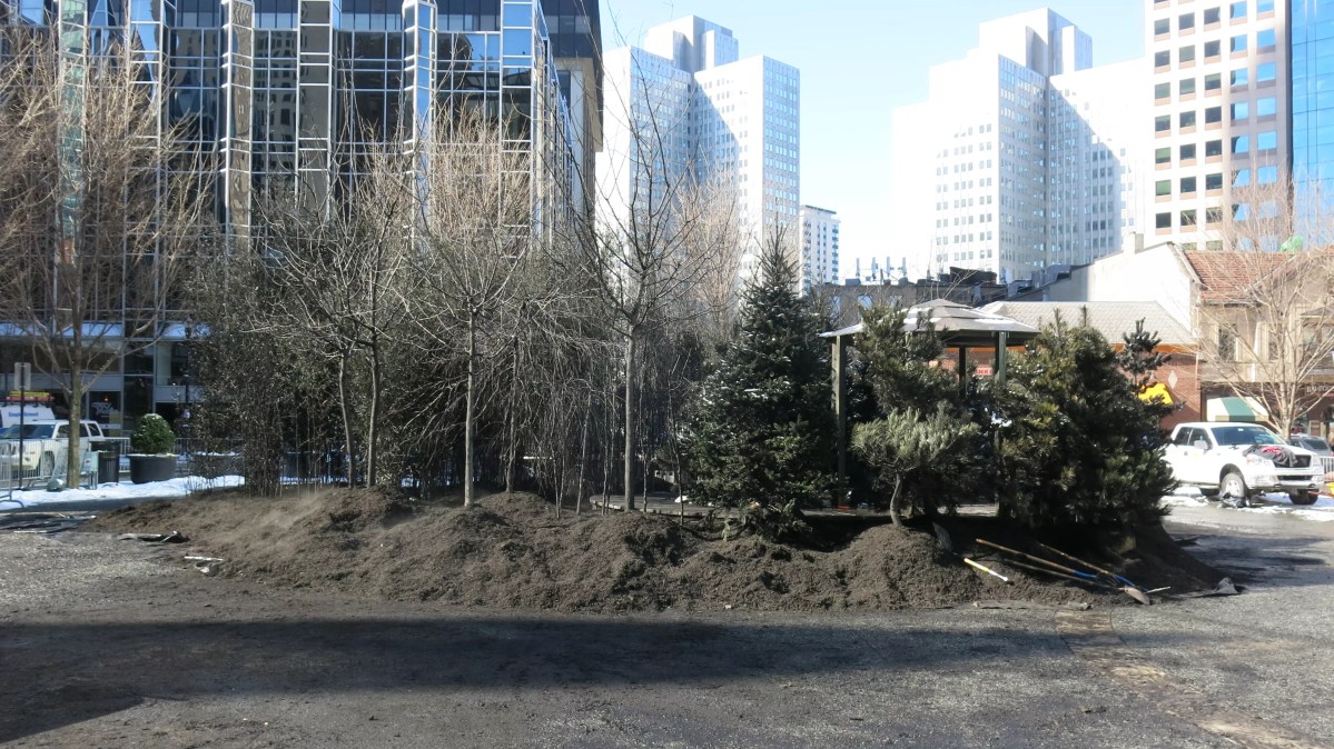 Public-art “forest” opens in Market Square tomorrow