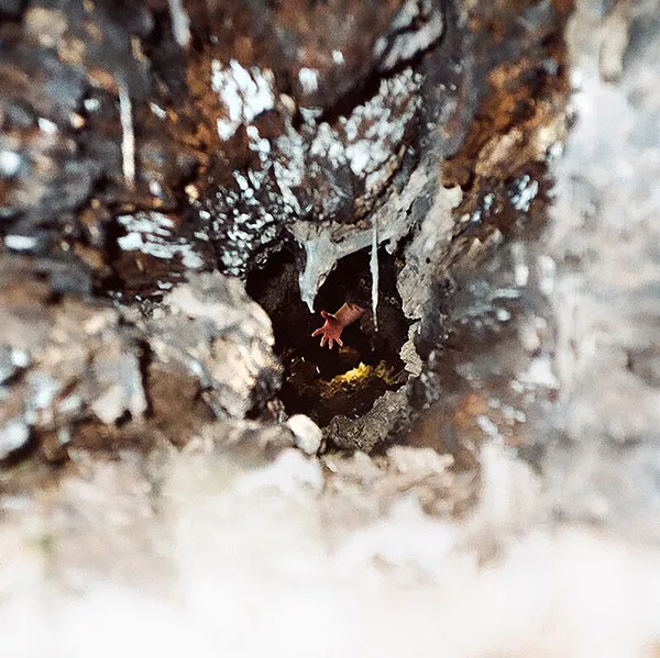 Stage Hands new music release