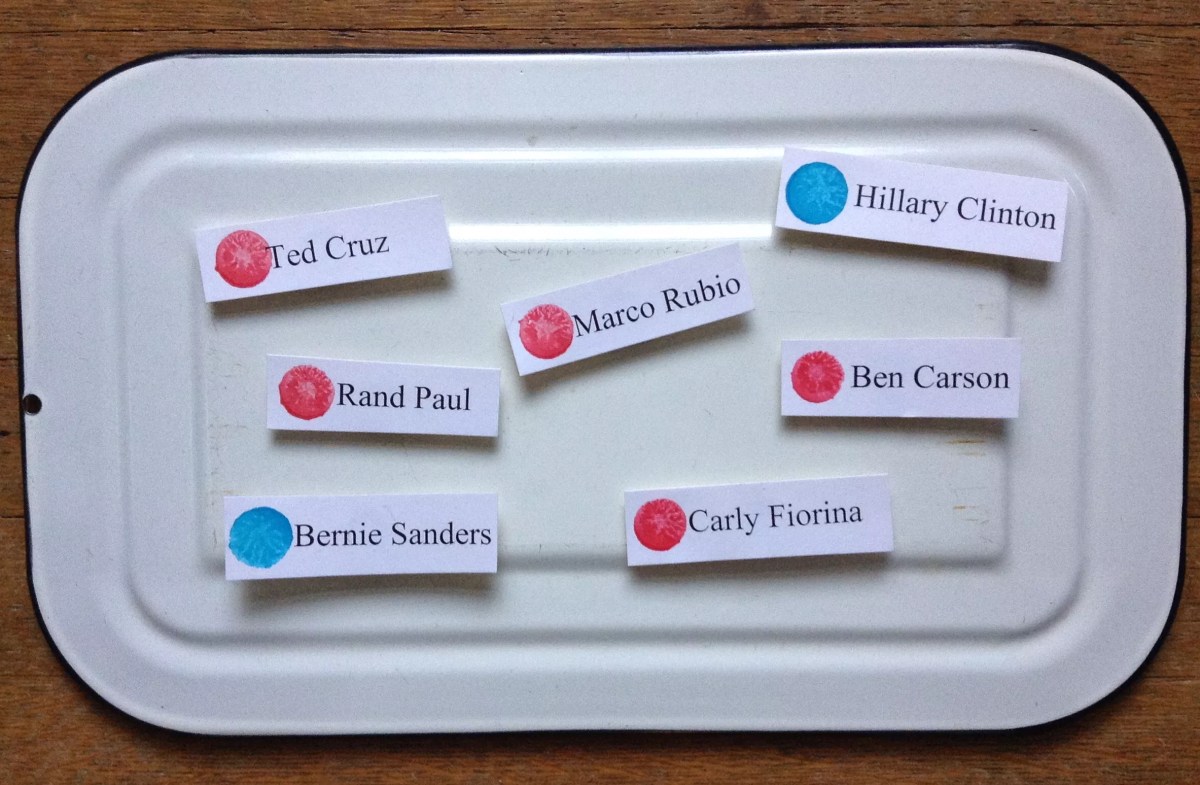 The Magnetic Chart of 2016 Primary Awesomeness Welcomes Carly Fiorina