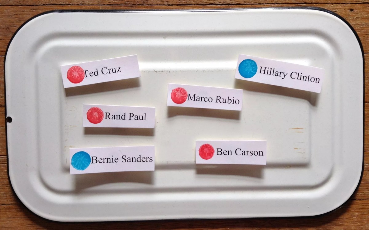 The Magnetic Chart of 2016 Primary Awesomeness Welcomes Ben Carson