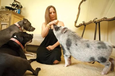 Dogs and cats are great, but they’re not the only choices for pet owners