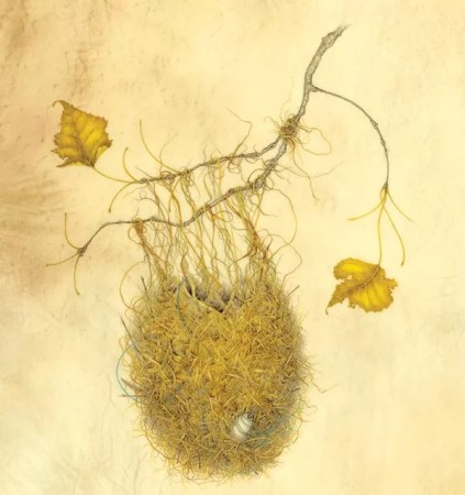 Hunt Institute show focuses on birds’ nests