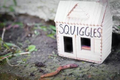 How worm-farming beats pet ownership