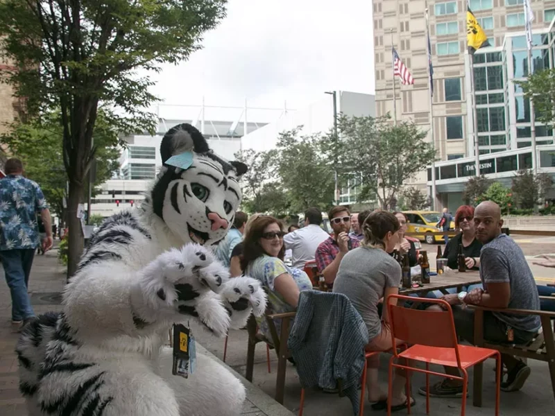 Anthrocon Photos 2015