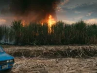 This Changes Everything