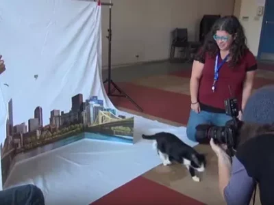 Behind-the-scenes video of Pittsburgh City Paper’s Internet Cat Video Festival cover