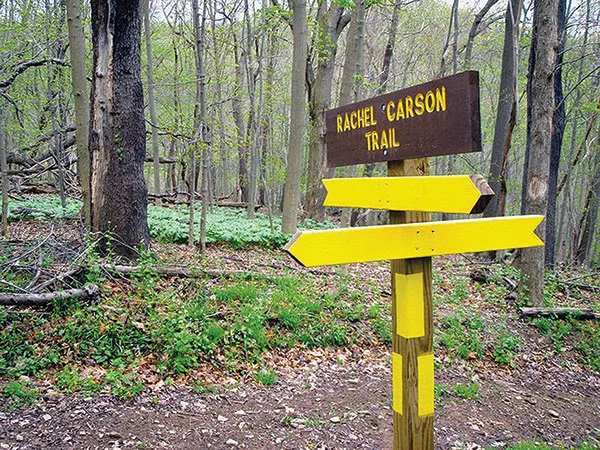 Hiking trails throughout Allegheny County are growing, but property owners still hold the final say.