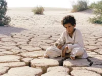 Theeb