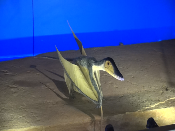 Pterosaurs come to Pittsburgh’s Carnegie Museum of Natural History