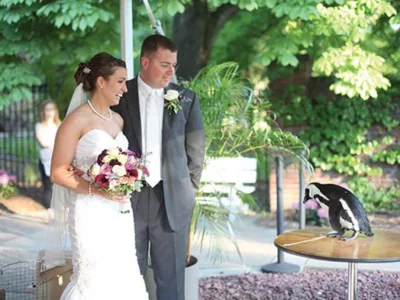 Nontraditional wedding venues in Pittsburgh