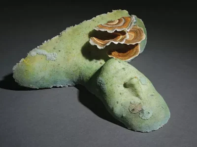 The Glass Center’s Lifeforms 2016 works best when it gets visionary