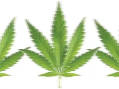 Pennsylvania finally has a medical marijuana law