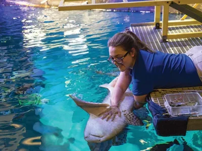 Techniques originated at the Pittsburgh Zoo make communicating with the animals a reality
