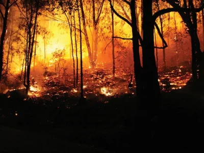 The Fort McMurray wildfire was yet another climate-change wakeup call few noted as such