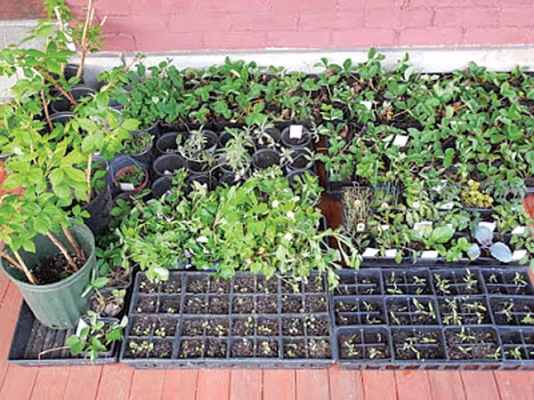 Short List: May 4 – 10