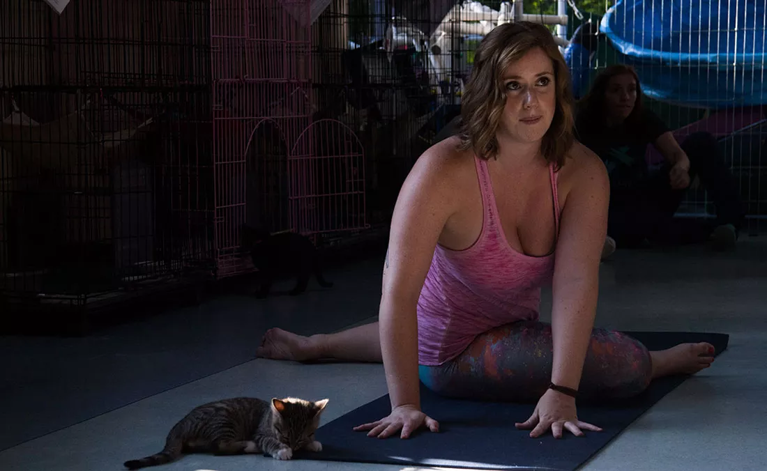 kitten-yoga-21.webp