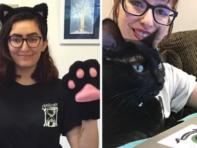 Purrfect Business: Pittsburgh getting ready for its first cat café