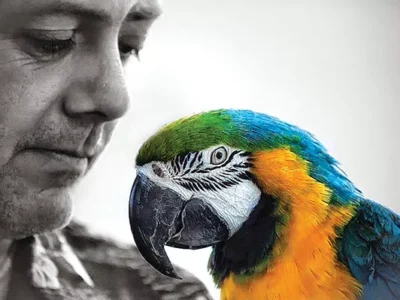 Tarentum man carries on the legacy of ‘That Guy with the Birds’