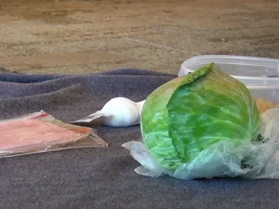 Pittsburgh advocates and chefs host a picnic without bees