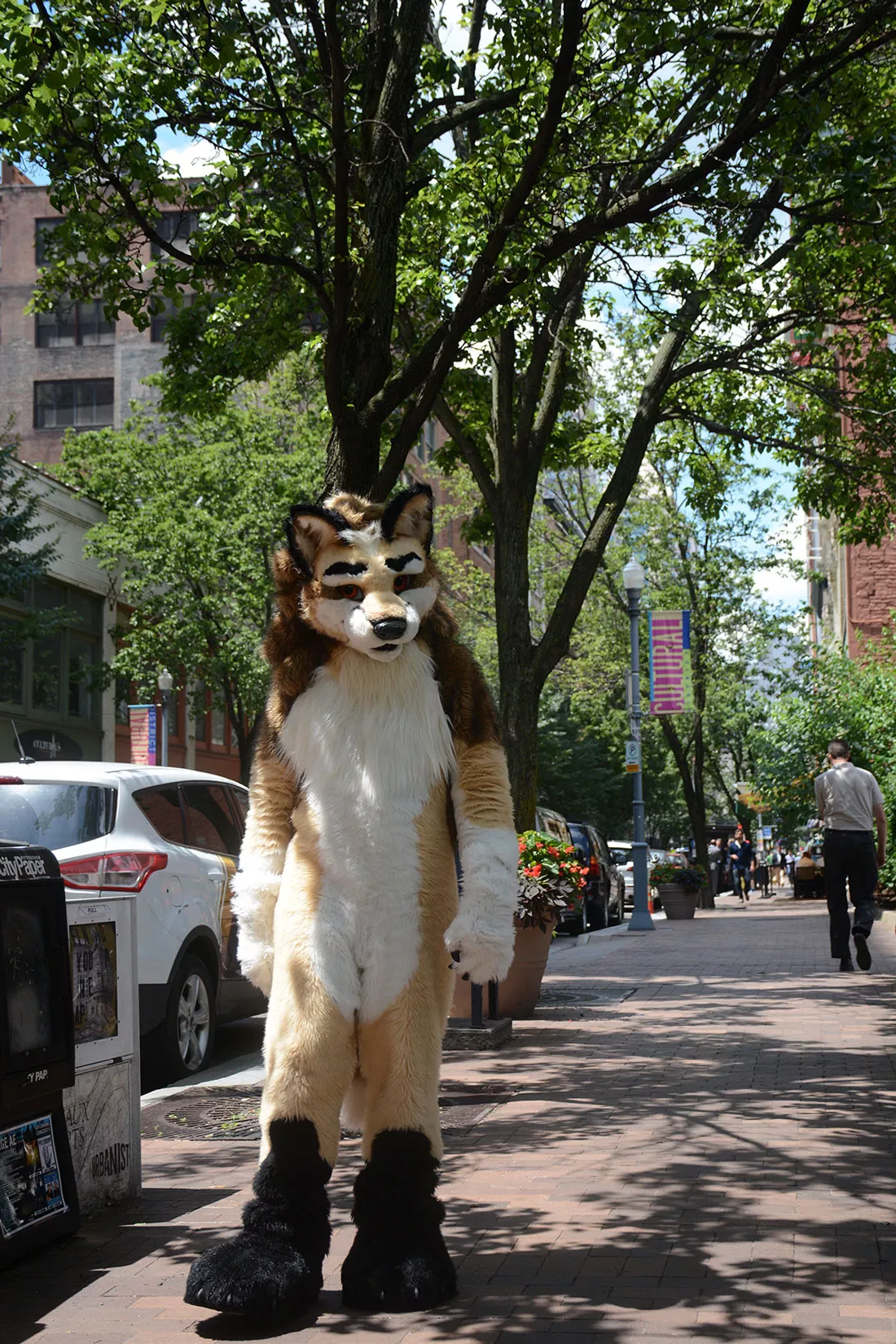 anthrocon-2016-03.webp