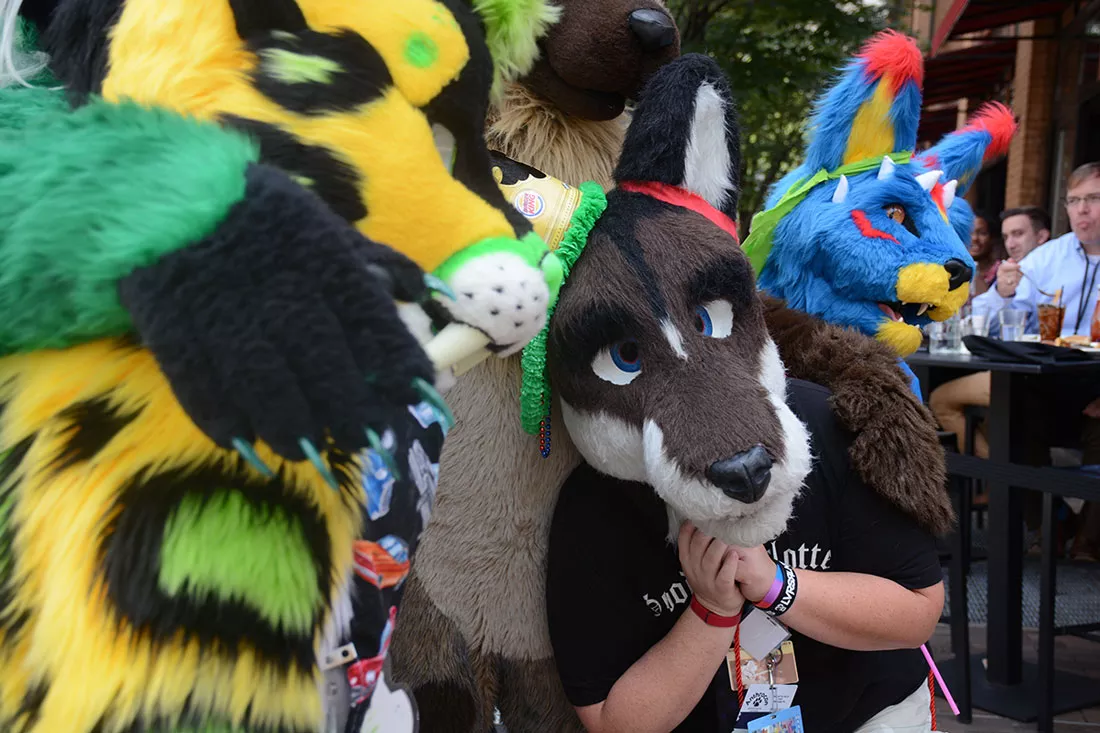 anthrocon-2016-13.webp