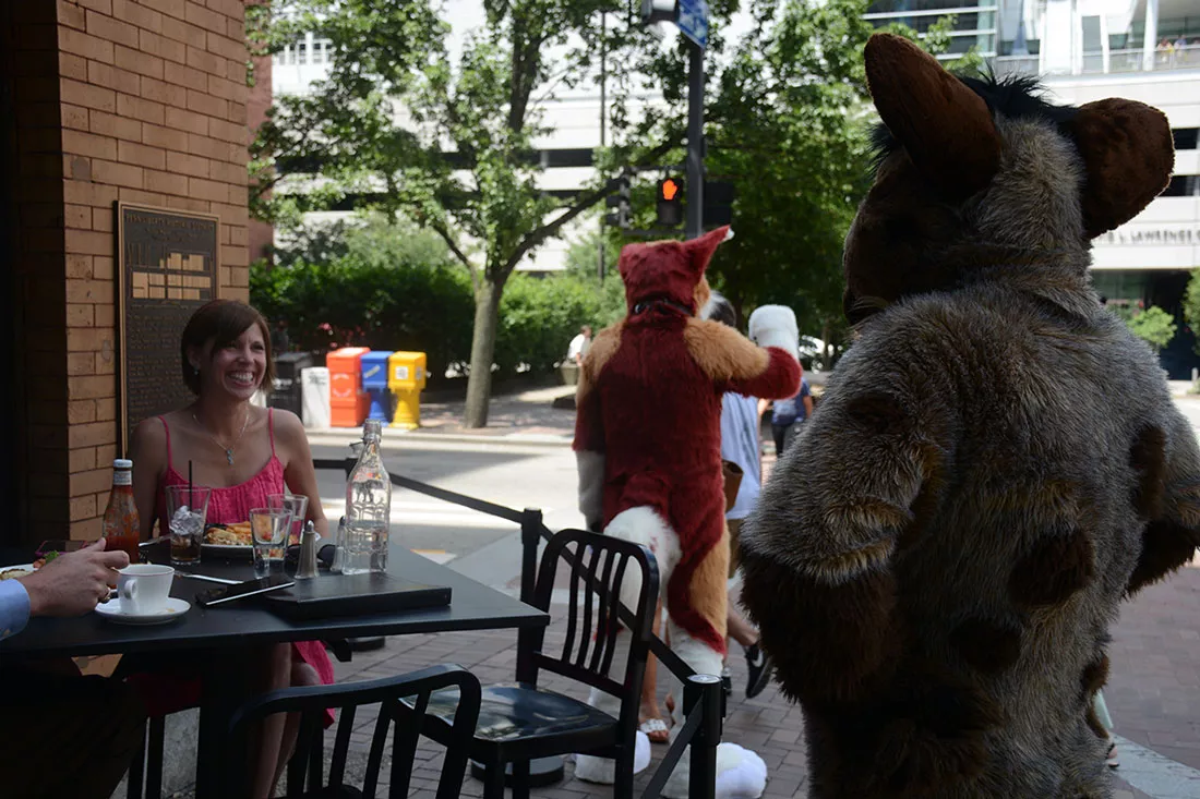 anthrocon-2016-16.webp