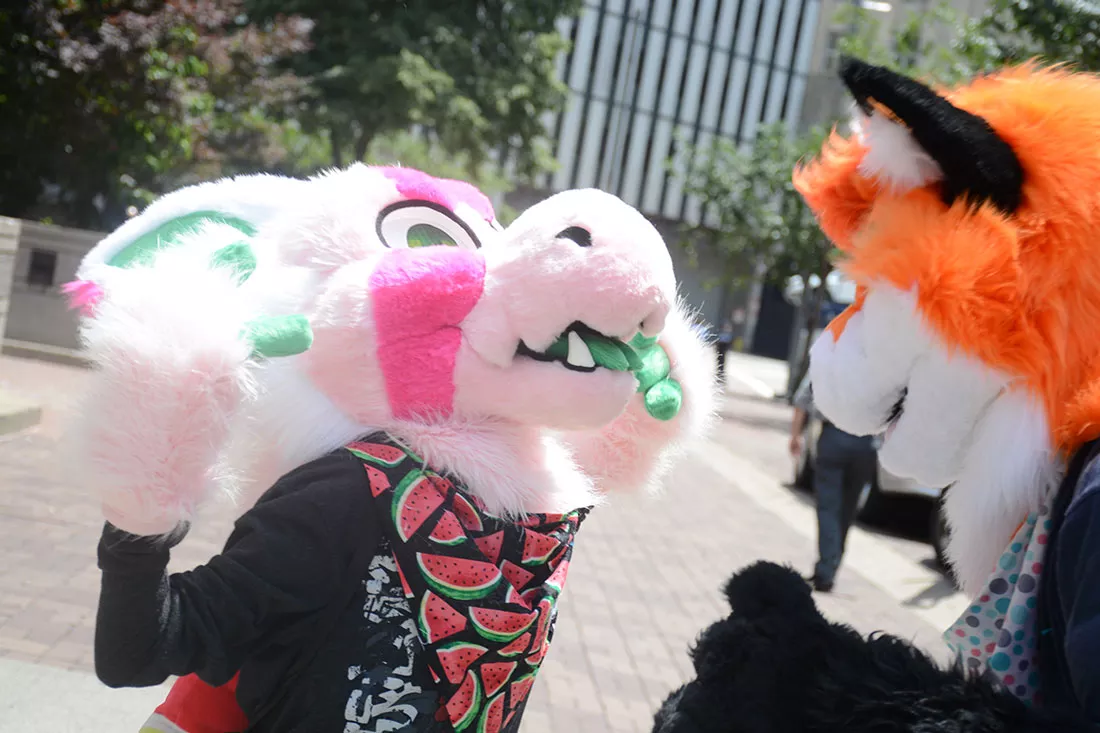 anthrocon-2016-17.webp