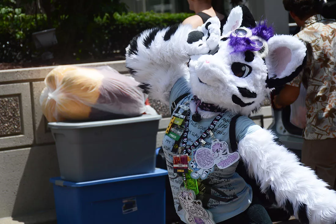 anthrocon-2016-18.webp