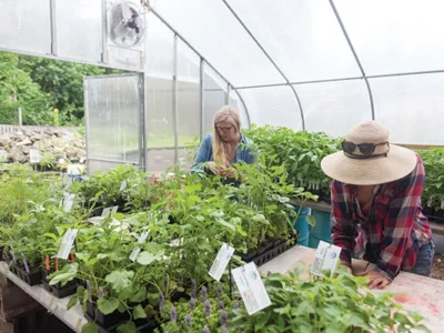 Other Fine Neighborhoods