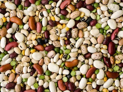 Beans aren’t just for hearty winter fare