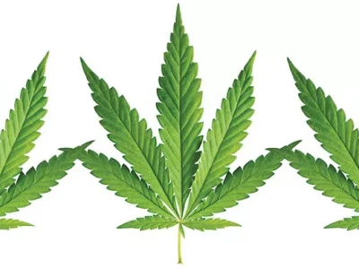 Medical marijuana is coming to Pennsylvania