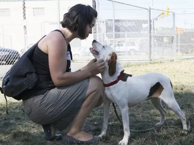 Western PA Humane Society and Pittsburgh’s Animal Rescue League to merge