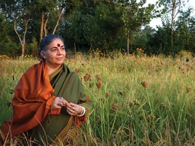 Seed: The Untold Story