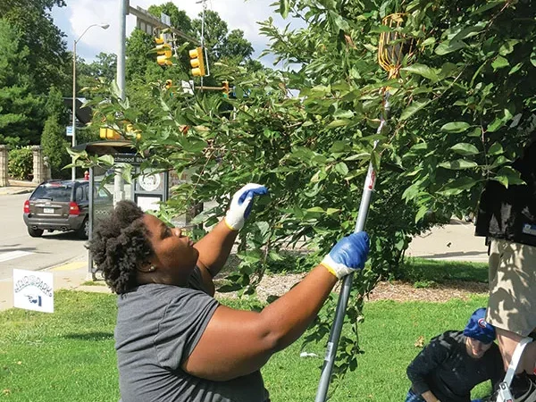 412 Food Rescue takes up urban gleaning