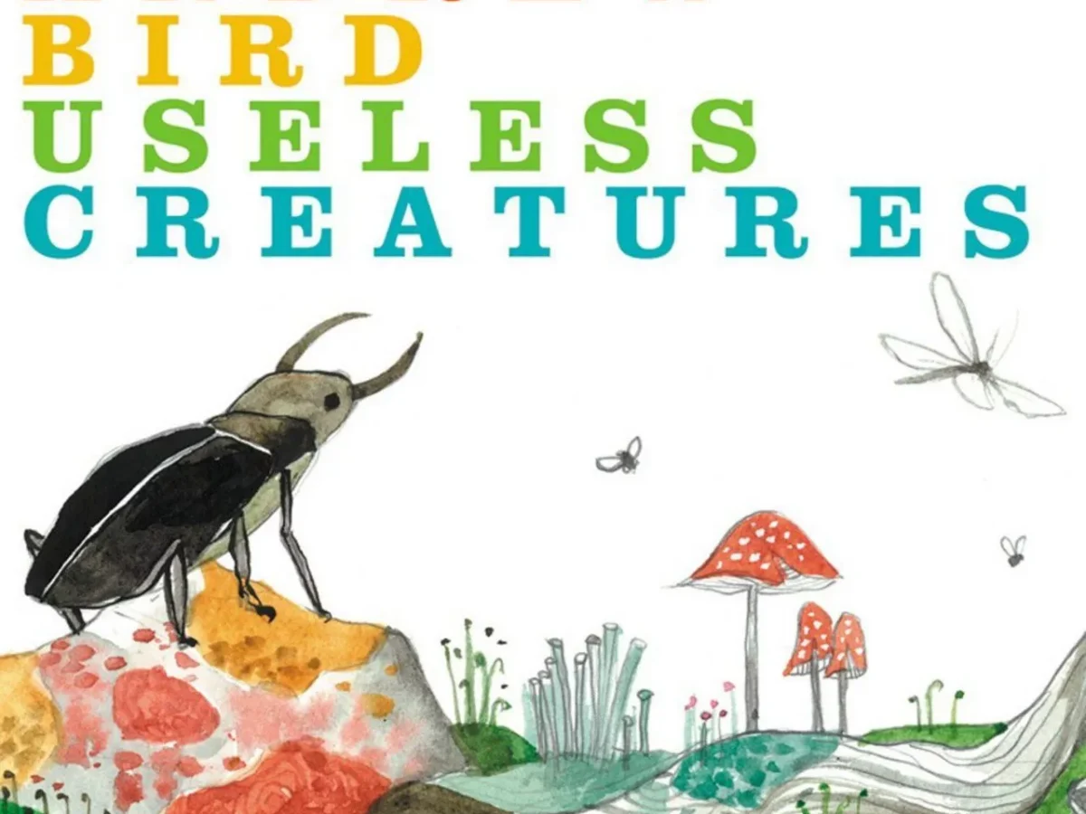 Music To Sweep To 04: Useless Creatures