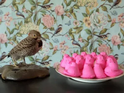 Associated Artists of Pittsburgh opens new-members’ show Saturday