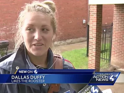 Weird Pittsburgh: An app that identifies local stank, a rooster on the loose in the Hill, and a clown hunt in State College