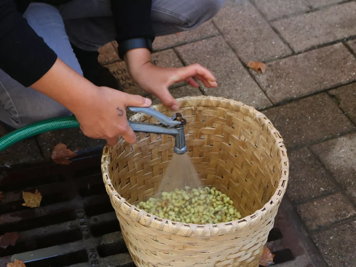 The Iroquois White Corn Project and Conflict Kitchen work together to bring light to indigenous peoples’ cuisine and history.