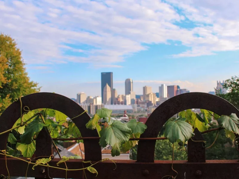 Fineview Photo Essay