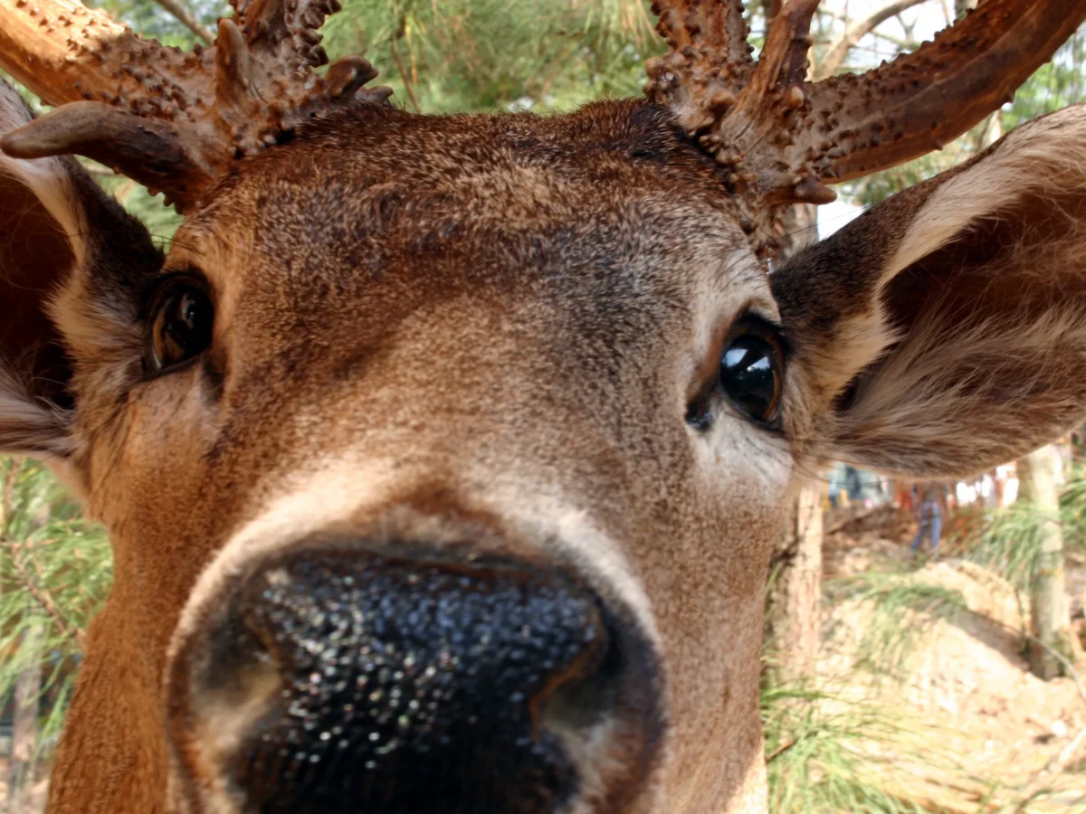 Pittsburgh Left: The answers to three burning questions