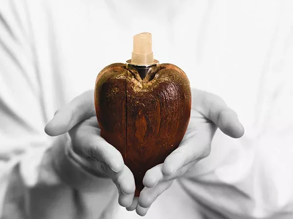 Short List: Dec. 1-7