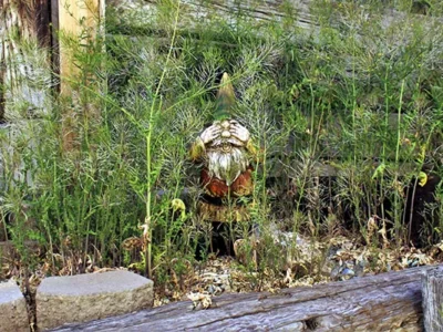 Weird Pittsburgh: Go fine yourself, Thou shalt not wrestle a girl and the Ballad of Crusty Owens