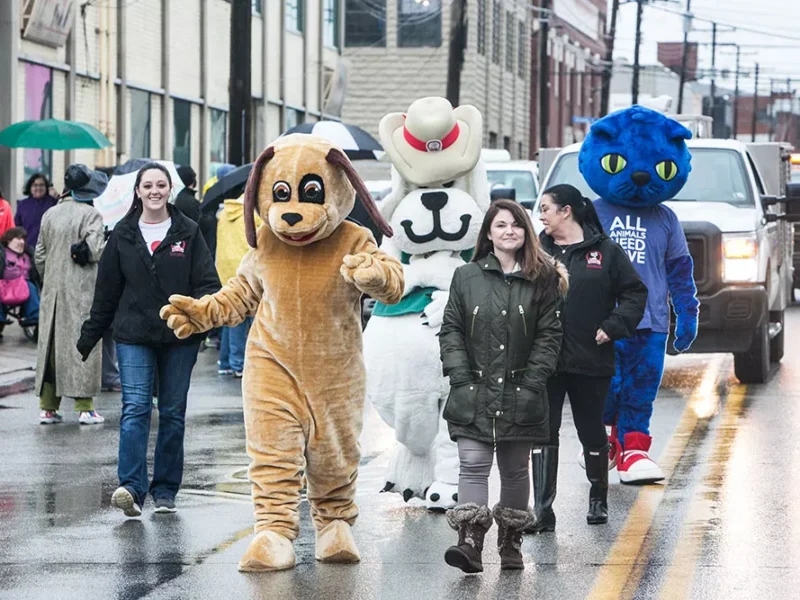 Animal Rescue League moves animals to new shelter during Moving of the Animals Parade