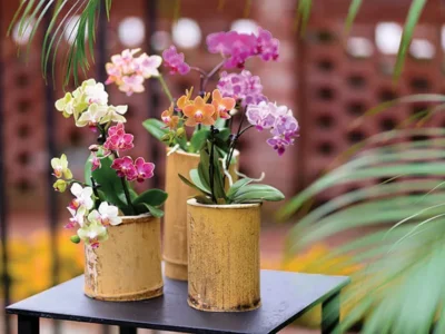 Other Fun Winter Events