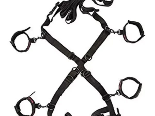 Pittsburgh City Paper tries out a few sex toys so you don’t have to