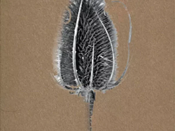 Lauded poet Robert Gibb scores with his new collection