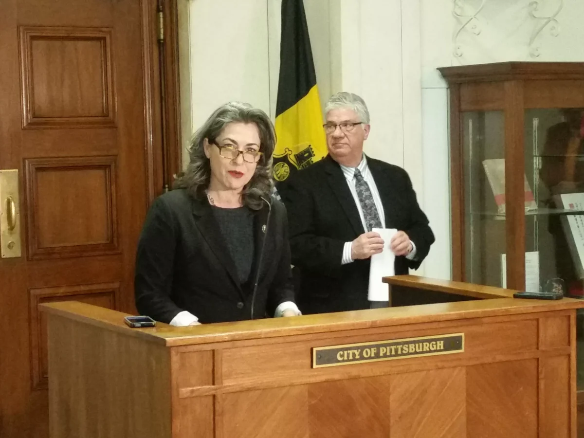 Pittsburgh City Councilor Deb Gross calls for water filters to protect local children from lead exposure