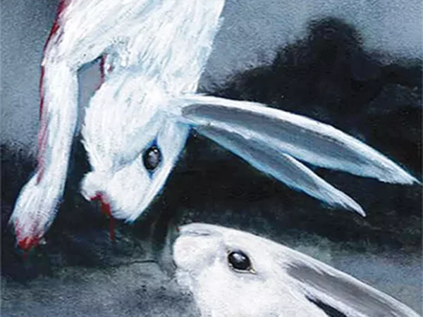 Poet Kayla Sargeson’s full-length debut